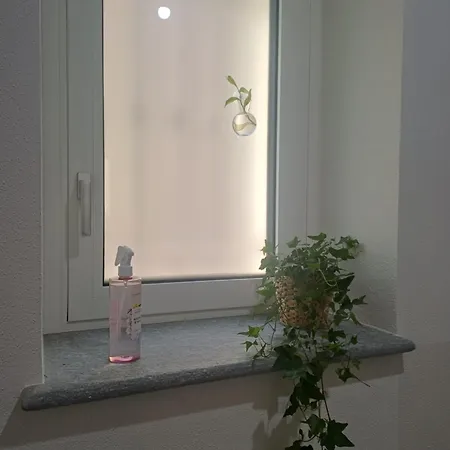 Casa Cinna Apartment Monta