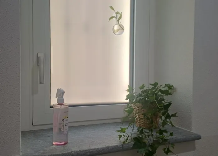 Casa Cinna Apartment Monta